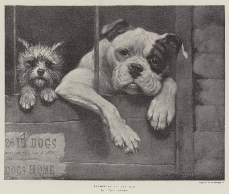 Gevangenen aan de bar door James Yates Carrington