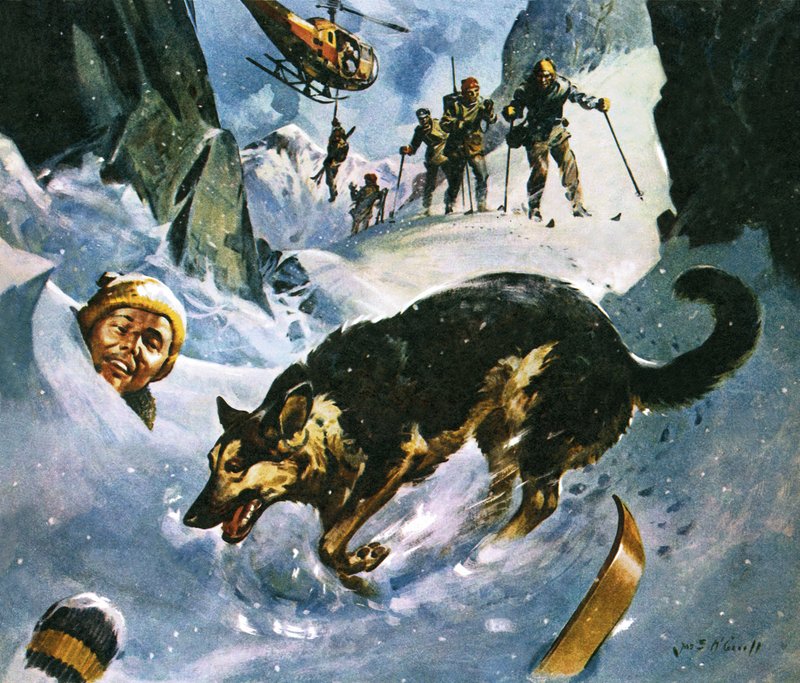 Redding in de sneeuw door James Edwin McConnell