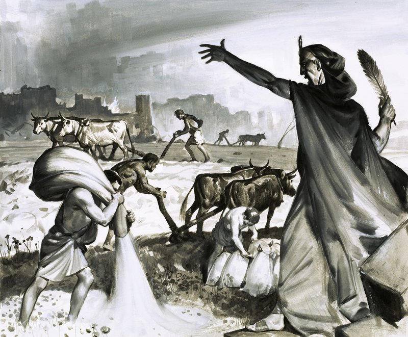 De opkomst en ondergang van Carthago: De Romeinse vloek op Carthago door James Edwin McConnell
