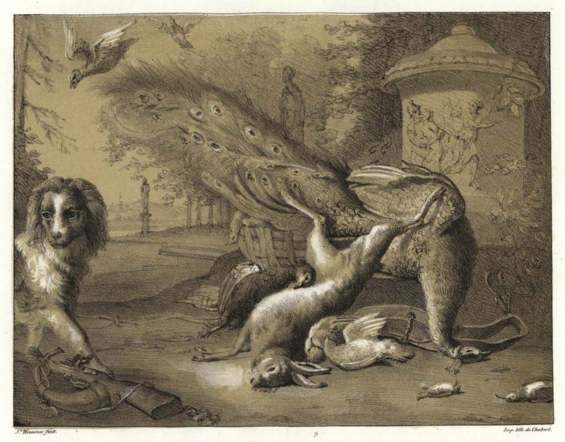 Stilleven met een Pauw en een Hond door Jan Baptist Weenix