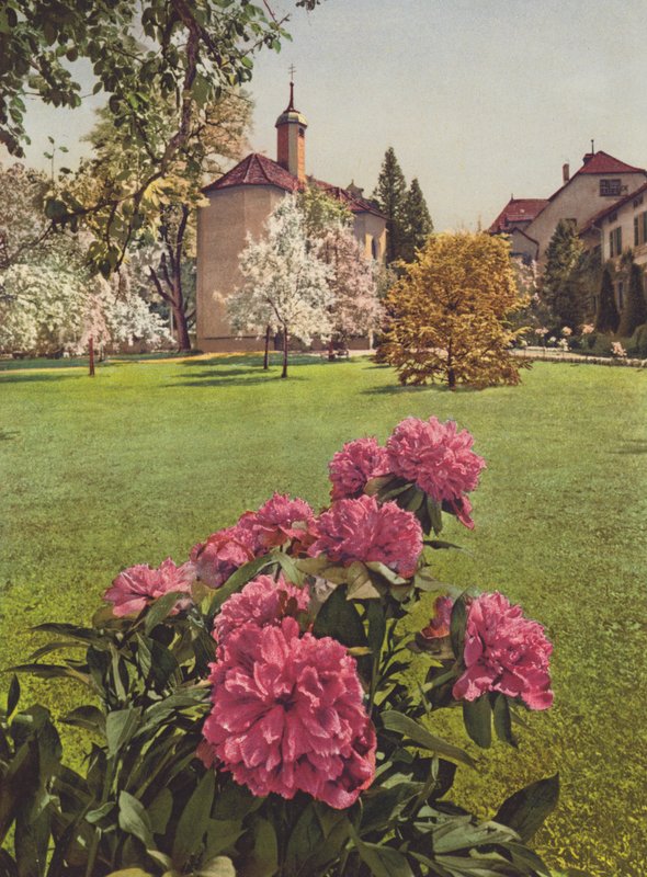 Zwitserland: Mammern aan het Bodenmeer, in de tuinen van het sanatorium door Jean Gaberell