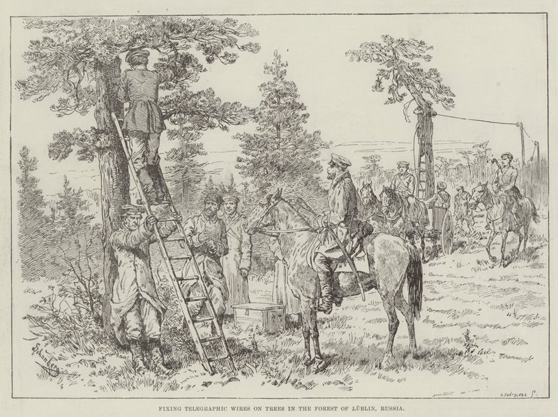 Telegraphische draden bevestigen aan bomen in het bos van Lublin, Rusland door Johann Nepomuk Schonberg