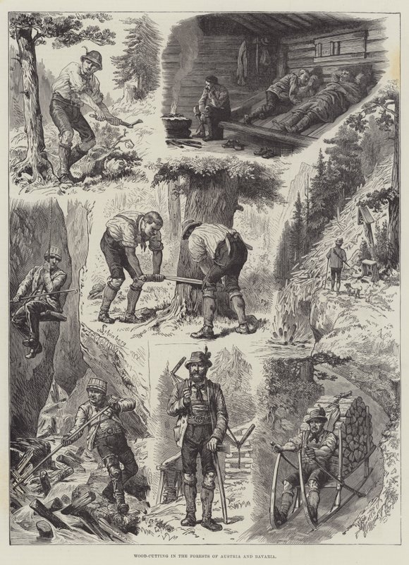 Houtkap in de bossen van Oostenrijk en Beieren door Johann Nepomuk Schonberg