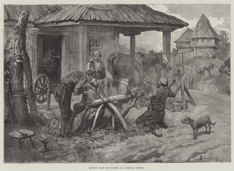 Schoenen van ossen en paarden bij een Servische smidse door Johann Nepomuk Schonberg