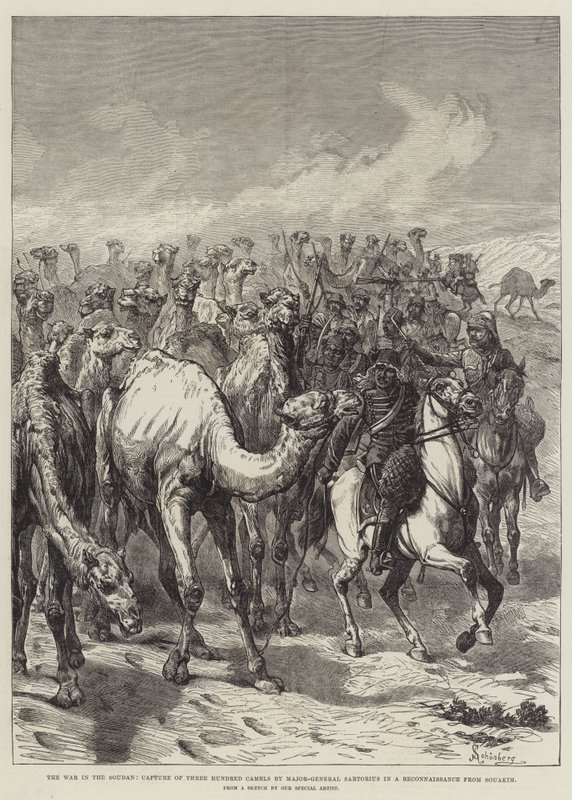 De Oorlog in de Soedan, Verovering van Driehonderd Kamelen door Generaal-Majoor Sartorius tijdens een Verkenning vanuit Souakim door Johann Nepomuk Schonberg