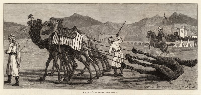 Een Kameel Begrafenisstoet door John Charles Dollman