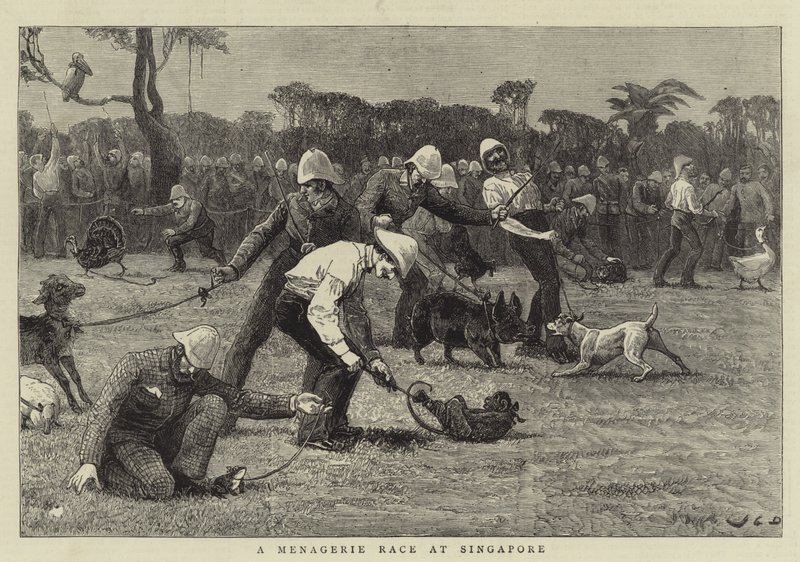 Een menagerie race in Singapore door John Charles Dollman