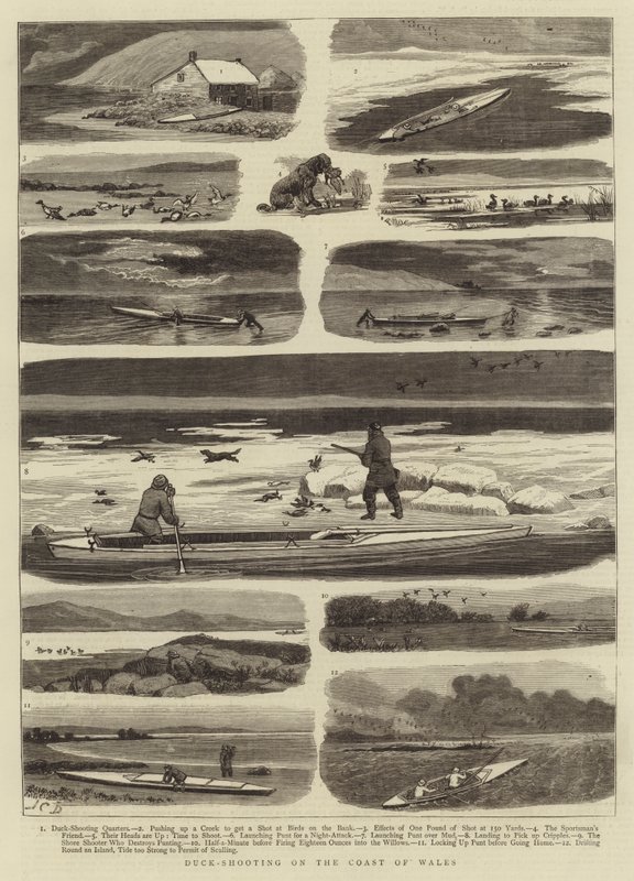 Eendenjacht aan de Kust van Wales door John Charles Dollman