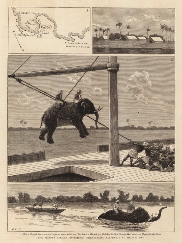 De Belgische Afrikaanse Expeditie, ontscheping van Olifanten bij Msasani Bay door John Charles Dollman