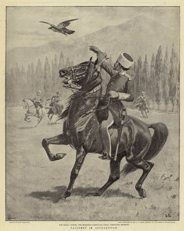 Valkenjacht in Afghanistan door John Charlton