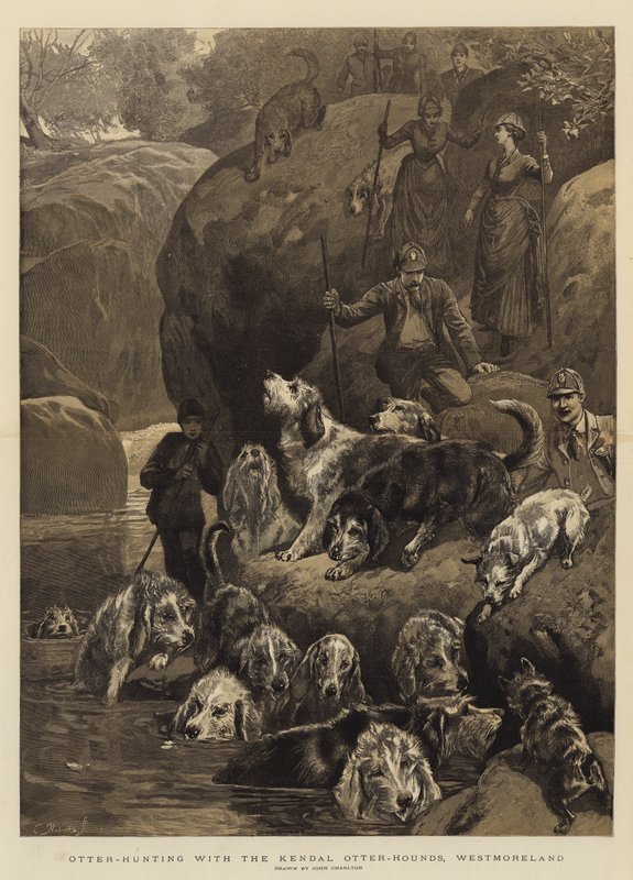Otterjacht met de Kendal Otter-Hounds, Westmoreland door John Charlton