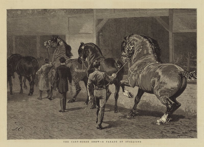 De trekpaardenshow, een parade van hengsten door John Charlton