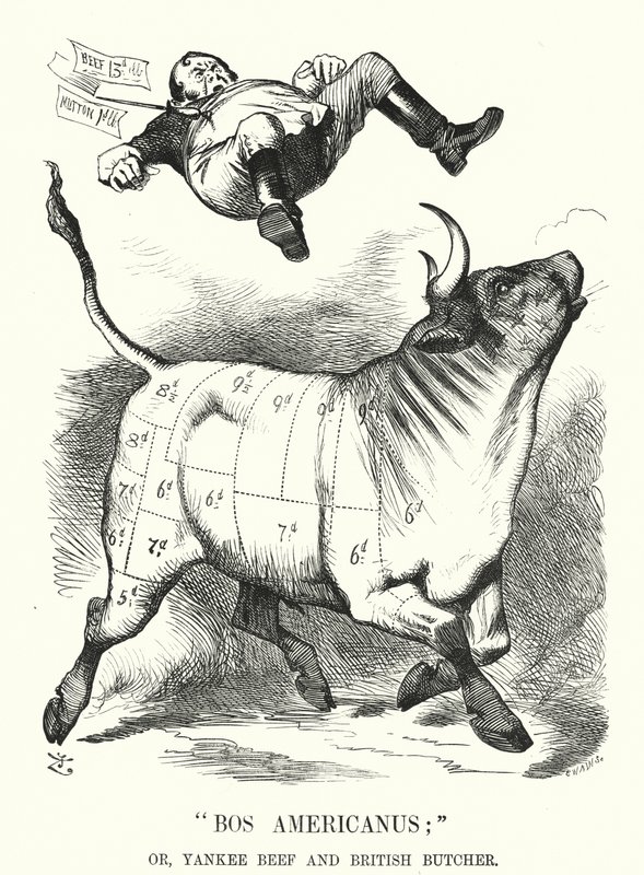 Punch cartoon: Bos Americanus; of, Yankee Beef en Britse Slager - verwachte voordelen voor consumenten van de import van Amerikaans vlees (gravure) door John (after) Tenniel