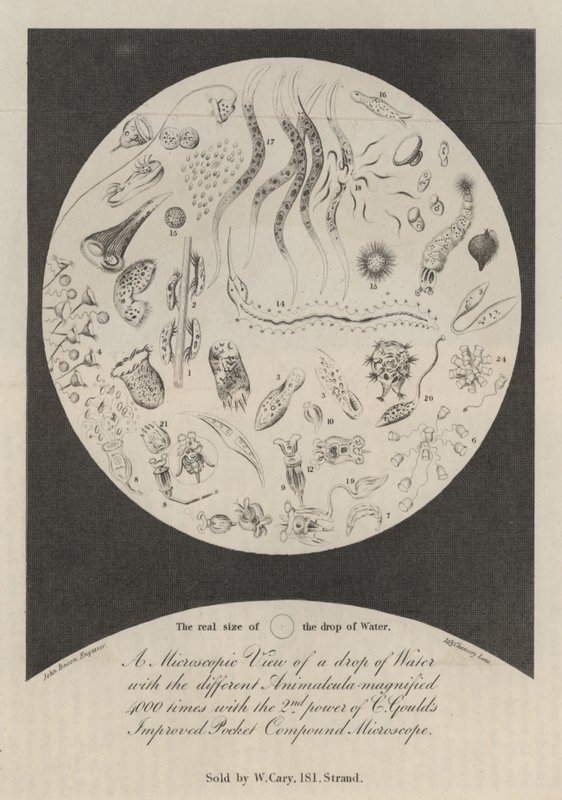 Een microscopisch zicht op een druppel water door John Bacon