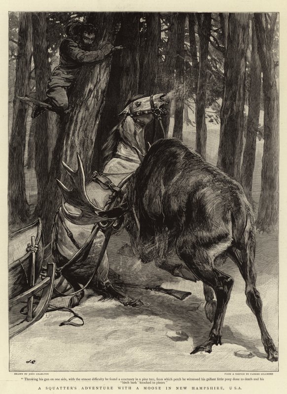 Een avontuur van een squatter met een eland in New Hampshire, VS door John Charlton