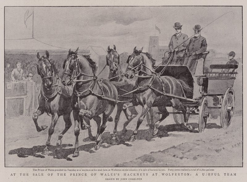 Bij de verkoop van de hackneys van de Prins van Wales in Wolferton, een bruikbaar team door John Charlton