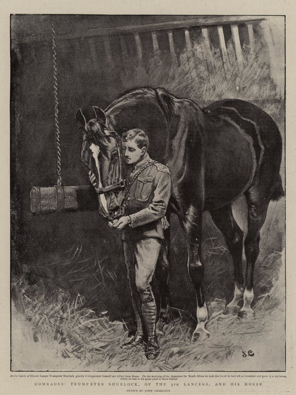 Kameraden, Trompetter Shurlock, van de 5e Lancers, en zijn Paard door John Charlton