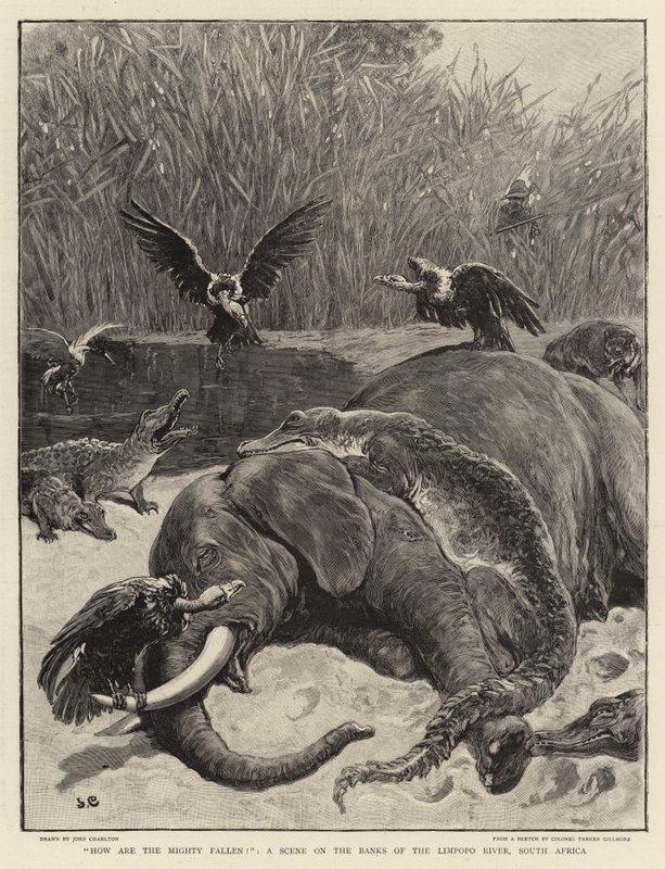 Hoe zijn de machtigen gevallen!, een Scène aan de Oevers van de Limpopo Rivier, Zuid-Afrika door John Charlton