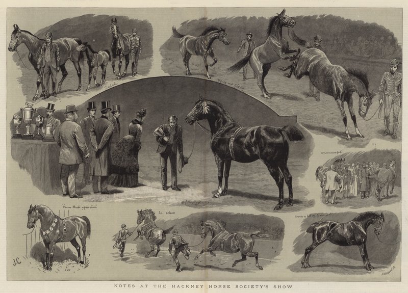 Aantekeningen bij de Hackney Horse Society