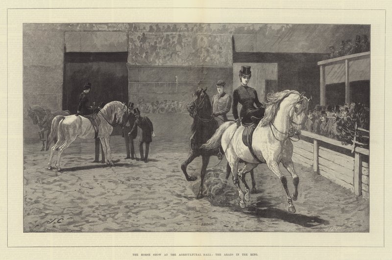 De paardenshow in de Agricultural Hall, de Arabieren in de ring door John Charlton