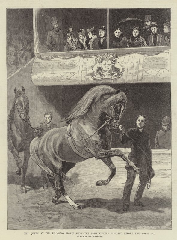 De koningin op de Islington Horse Show, de prijswinnaars paraderen voor de koninklijke loge door John Charlton