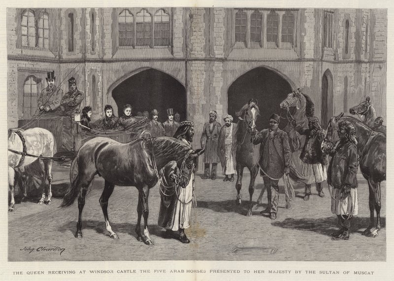 De Koningin ontvangt op Windsor Castle de vijf Arabische paarden die door de Sultan van Muscat aan Hare Majesteit zijn geschonken door John Charlton