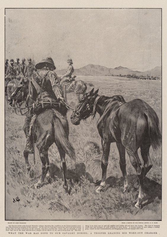 Wat de oorlog heeft gedaan met onze cavaleriepaarden, een soldaat die zijn uitgeputte paard leidt door John Charlton