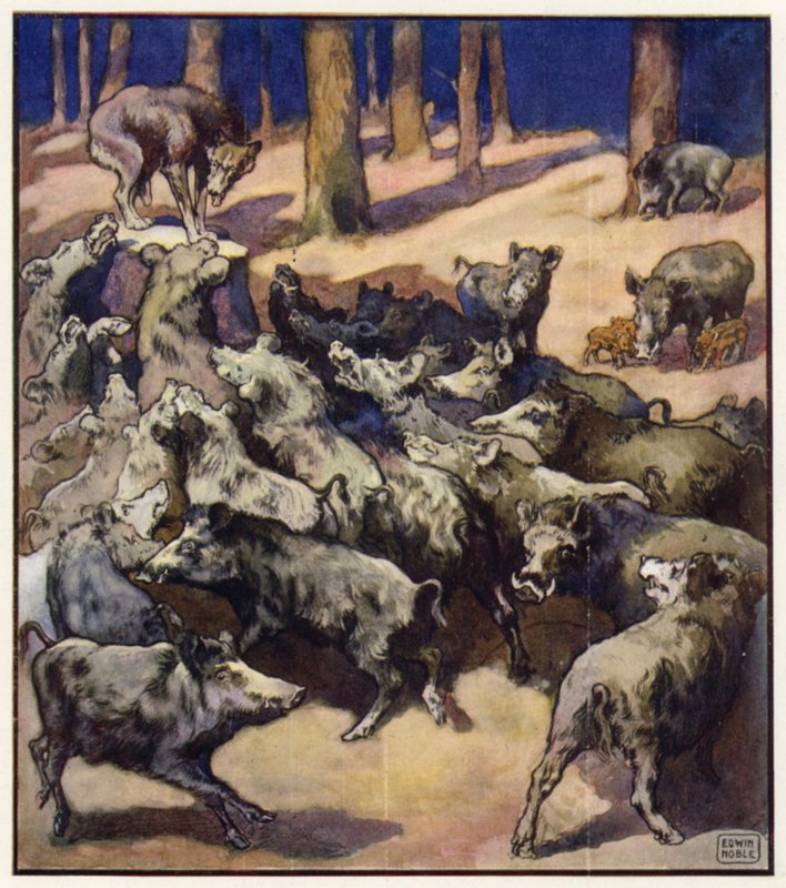 In het midden van de stronk stond een grote grijze wolf door John Edwin Noble
