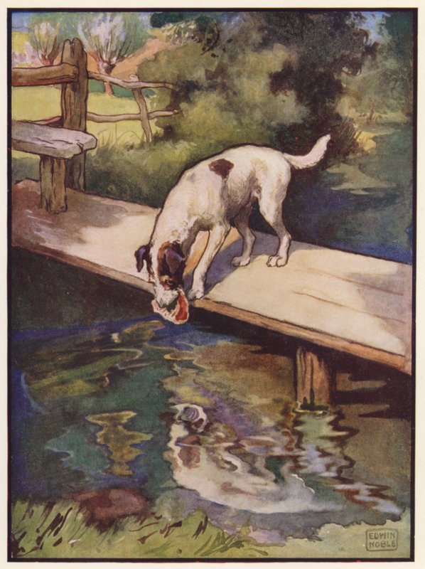 De Hond en de Schaduw door John Edwin Noble