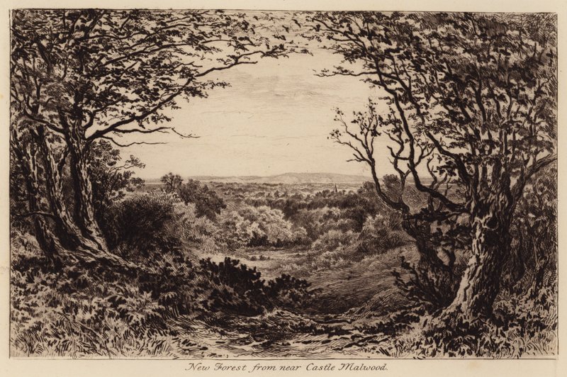 New Forest vanuit nabij Castle Malwood door John Fullwood