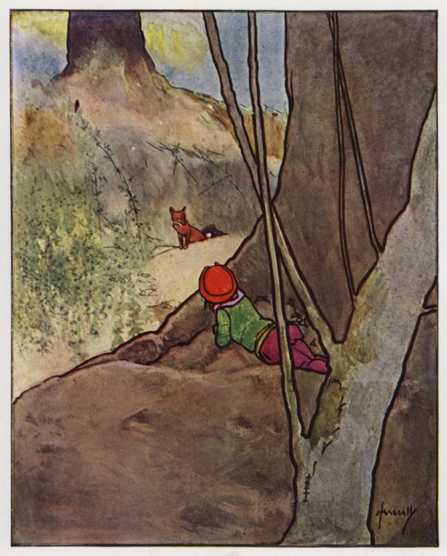De vos door John Hassall