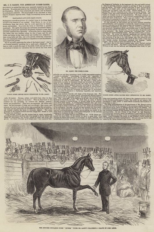 Mr J S Rarey, de Amerikaanse paardentemmer door John Leech