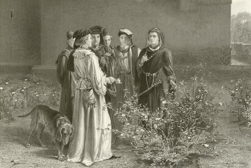 De rivaliserende rozen door John Pettie