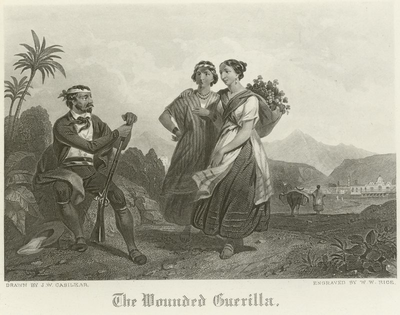 De gewonde guerrilla door John William Casilear