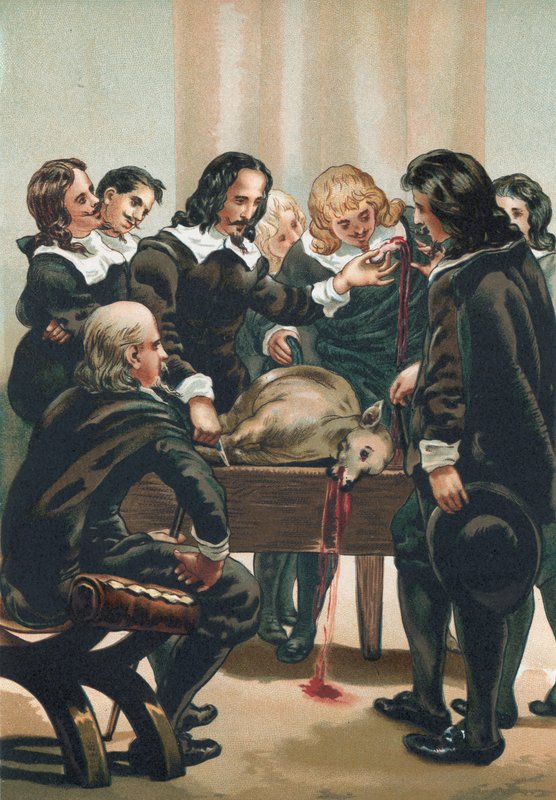 William Harvey demonstreert de bloedsomloop door Josep or Jose Planella Coromina
