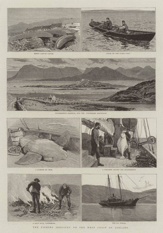 De Visserijindustrie aan de Westkust van Ierland door Joseph Nash
