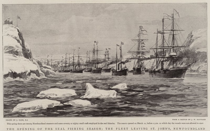 De opening van het zeehondenvangstseizoen, de vloot verlaat St John