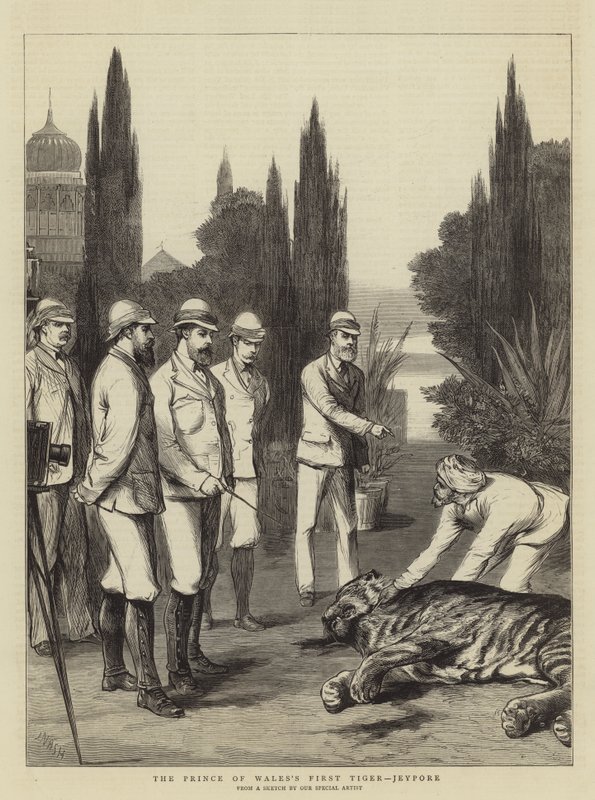 De eerste tijger van de Prins van Wales, Jeypore door Joseph Nash