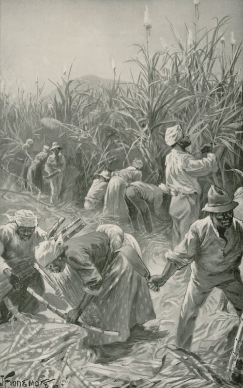 Zwarte aan het werk op een suikerrietplantage in Jamaica door Joseph (after) Finnemore