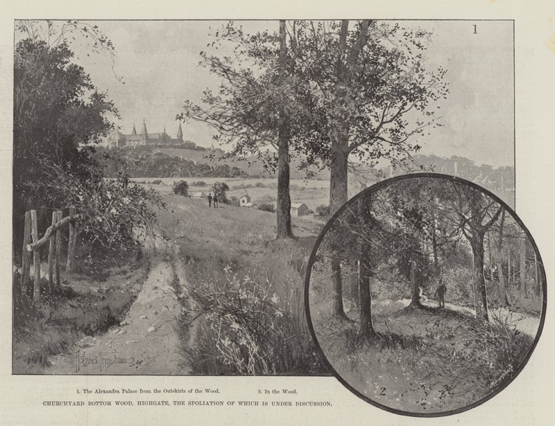 Churchyard Bottom Wood, Highgate, de Verwoesting die Onder Discussie Staat door Joseph Holland Tringham