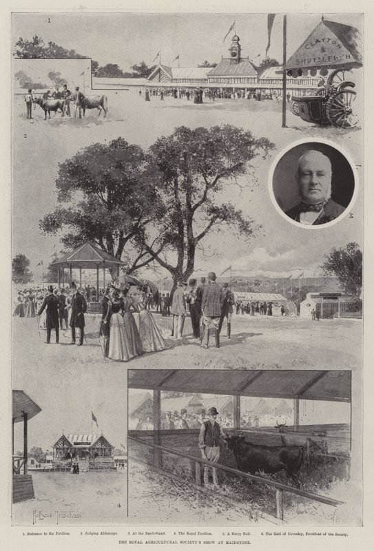 De Koninklijke Landbouwmaatschappij Show in Maidstone door Joseph Holland Tringham