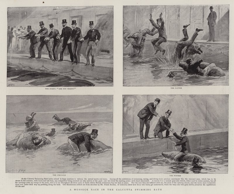 Een Mussuck-race in het Calcutta-zwembad door Joseph Nash