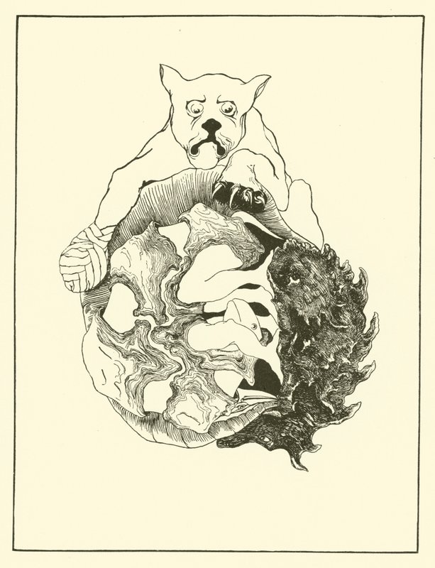 Het hele verhaal van de Jaguar en de Egel en de Schildpad en de Gordeldier allemaal op een hoop (gravure) door Joseph Rudyard (after) Kipling