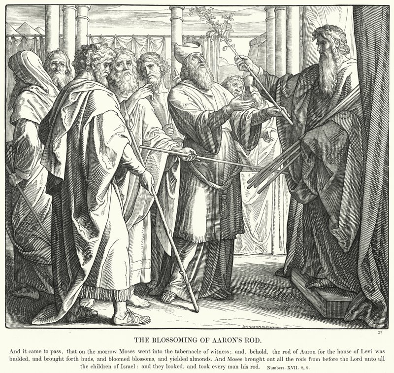 Het Bloeien van Aärons Staf (gravure) door Julius (after) Schnorr von Carolsfeld