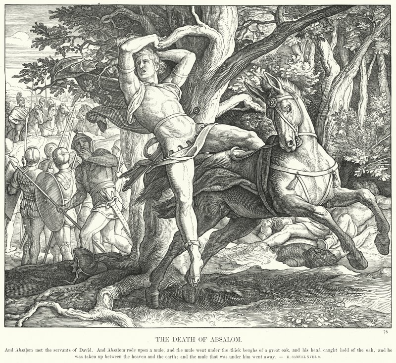 De Dood van Absalom (gravure) door Julius (after) Schnorr von Carolsfeld