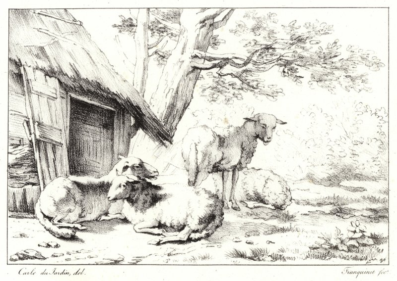Schapen door Karel Dujardin