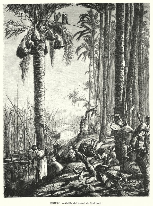 Oevers van het Mahmoudiyah-kanaal, Egypte door Karl Wilhelm Gentz