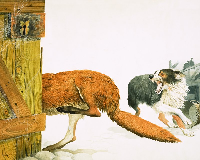 Een colliehond verjaagt een vos door Kenneth Lilly