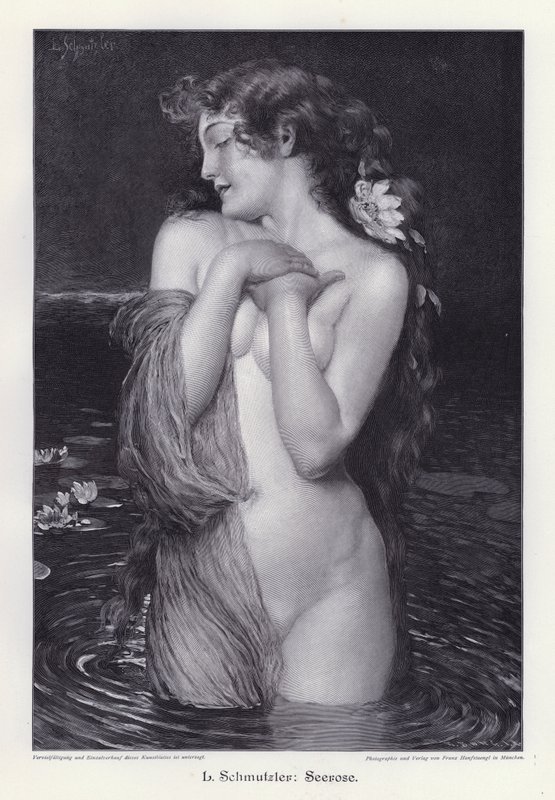 Waterlelie door Leopold Schmutzler