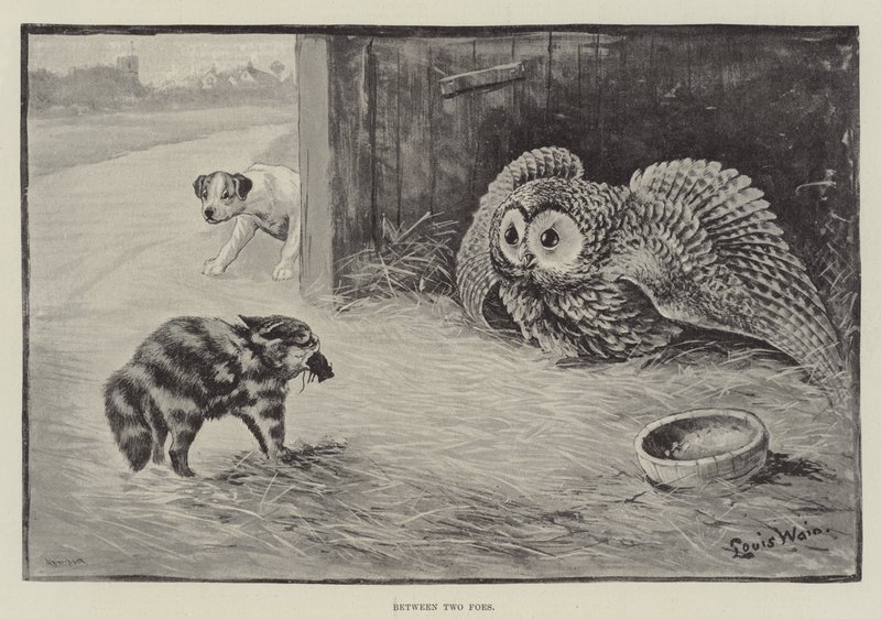Tussen twee vijanden door Louis Wain